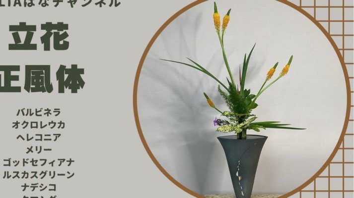 花呗入口上线，便捷支付新体验