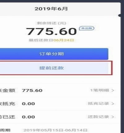 如何部分提前还款白条