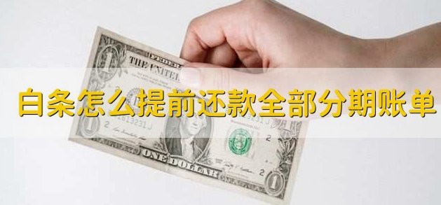 白条怎么提前还款一部分