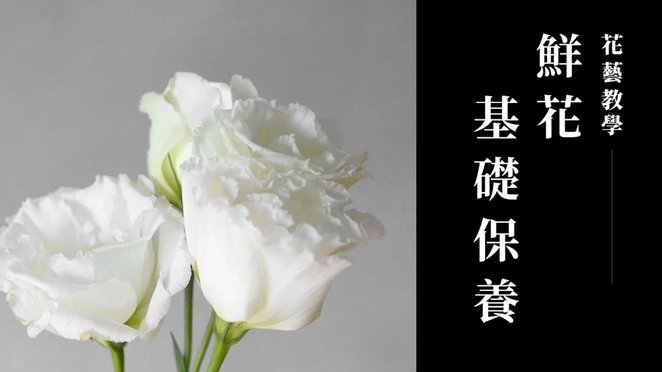 花呗套现：玩法与风险