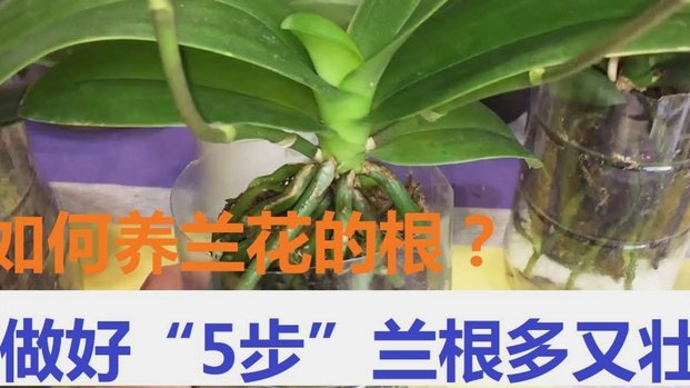 怎么用花呗快速套现
