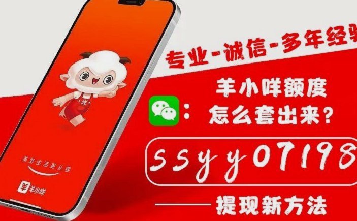 羊小咩贷款：智能提现服务