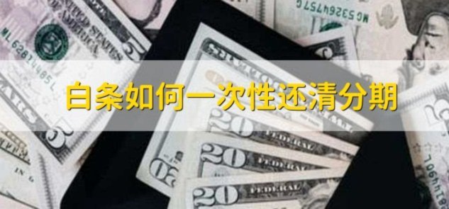 秒回白条，重塑消费新体验