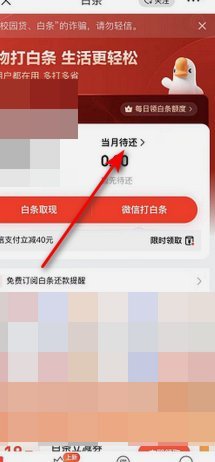 白条秒回