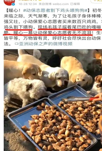 极端爱狗人士心理疾病