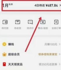 分期乐总待还金额查看全攻略