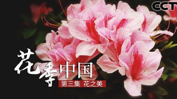 花呗真的靠谱吗？深度解析其正规性与使用风险