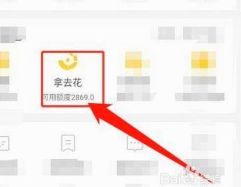 携程的拿去花怎么还款