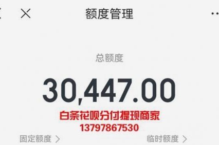 白条加油包有额度但是不能用怎么办