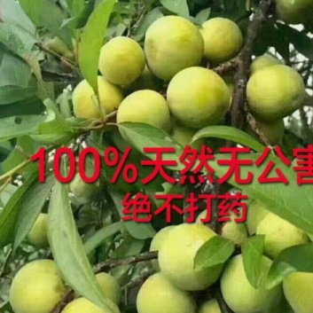 拿去花有取现额度取现不了