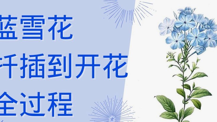 携程拿去花可以关闭吗