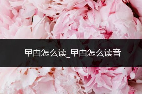 怎么套花呗钱