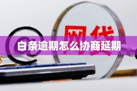 白条逾期怎么协商延期 现金还款
