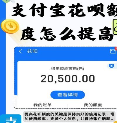 花呗付款平台