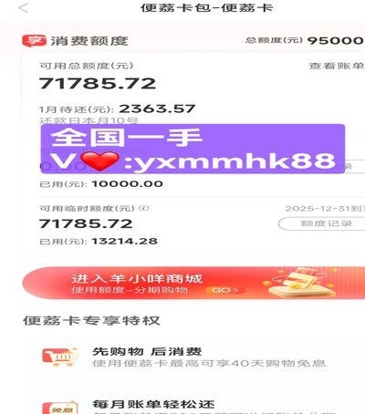 羊小咩哪里有额度啊