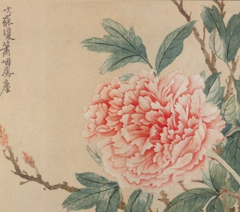 花呗是哪个平台