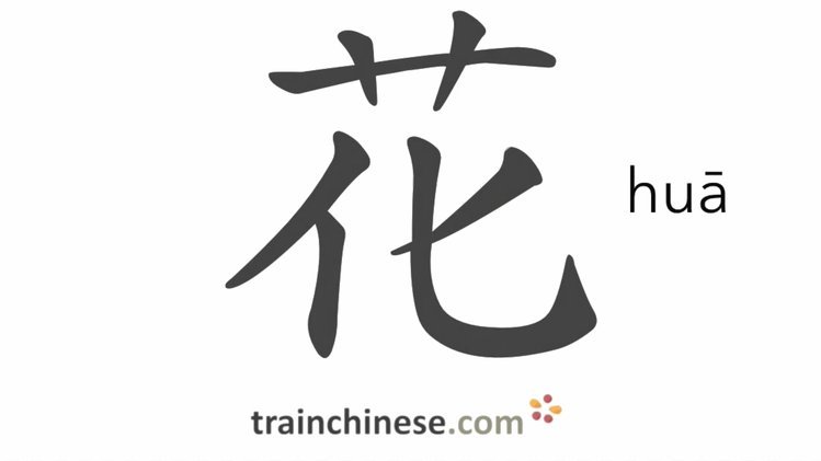 花呗的应用