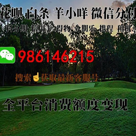 羊小咩取现额度怎么提升