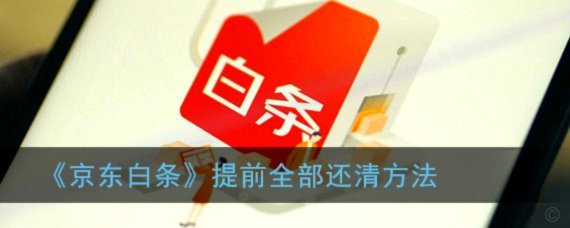 白条怎么提前全部还款啊