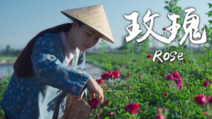 花呗如何套出