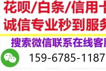 白条秒到背后的信用与风险