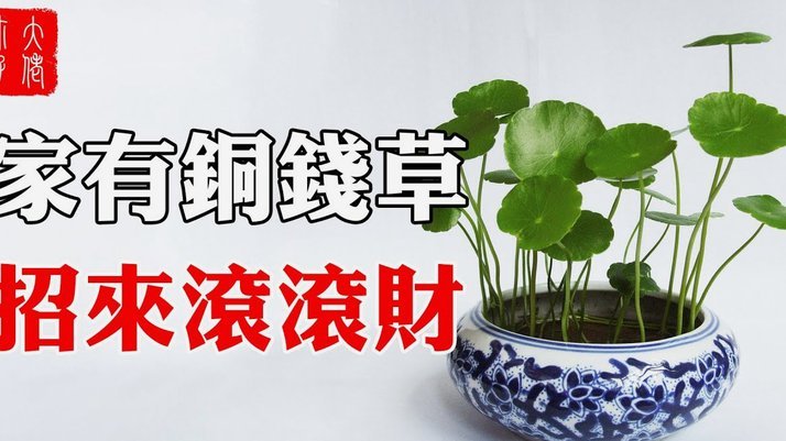 花b的钱怎么提现出来