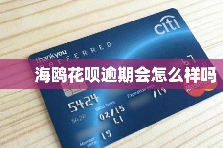海鸥花呗平台怎么样？知乎高赞回答背后的陷阱揭秘