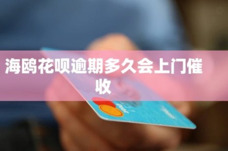 海鸥花呗平台 怎么样知乎