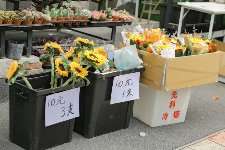 哪里可以套拿去花