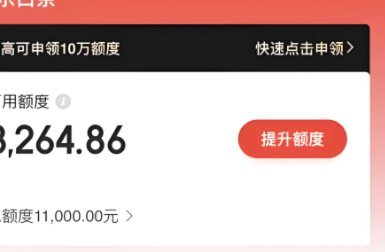 京东白条能否支付加油费？最新指南全知道